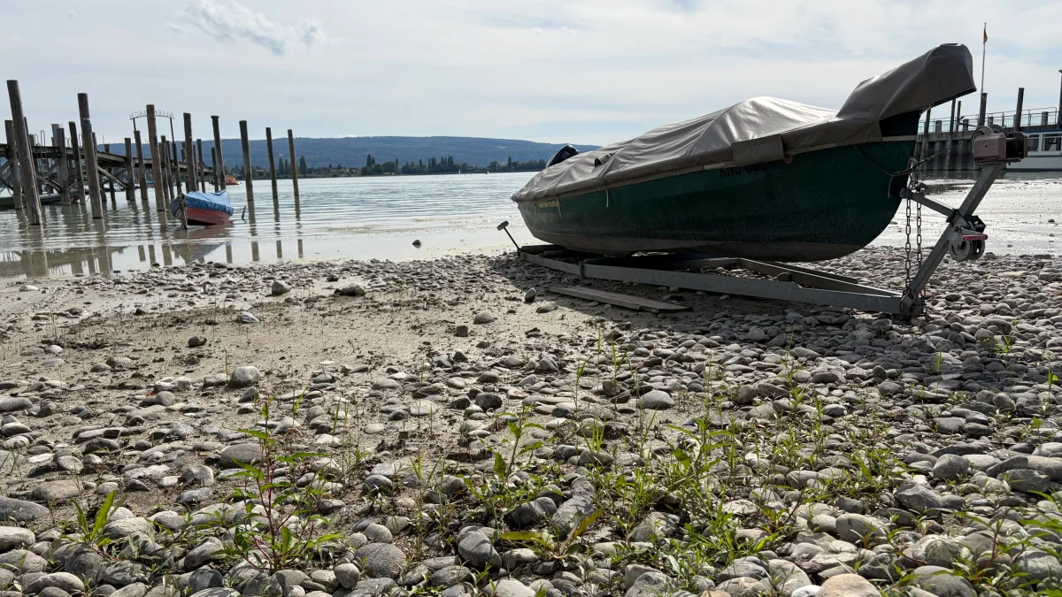 Niedrigwasser am Bodensee: „Bis das Wasser kommt, sind die Urlauber wieder zu Hause“
