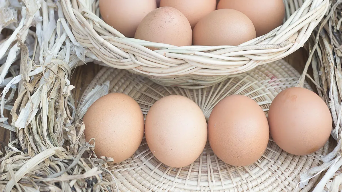 David Céspedes, experto en longevidad: "Comer 4 huevos al día el resto de tu vida solo te traerá beneficios"