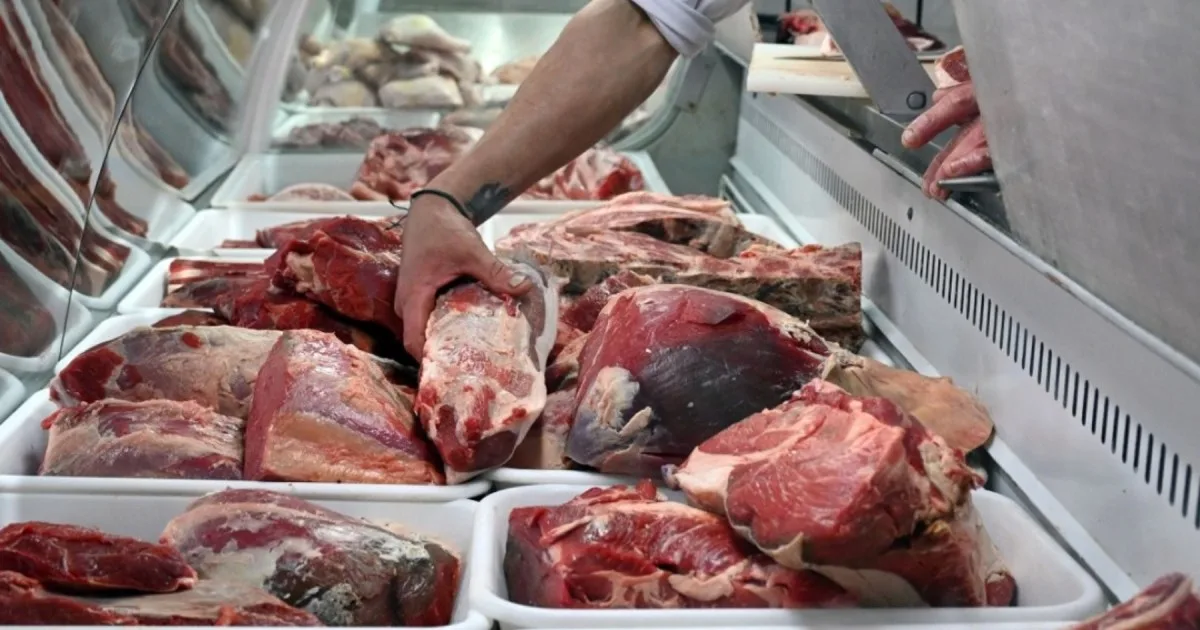 El consumo de carne vacuna cayó 9,6% en agosto 2026: qué pasó con los precios en Neuquén y Río Negro