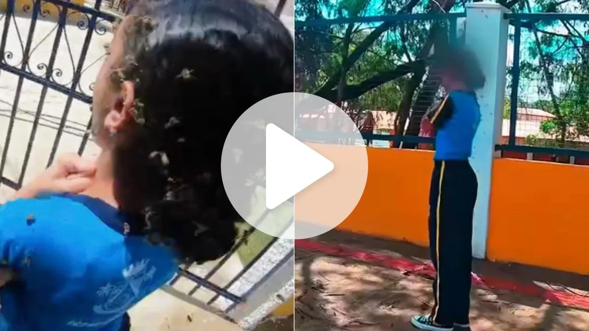 Menina atacada por abelhas está internada em CTI após ser atingida por enxame em frente à escola: ‘Mais de 100 ferroadas’