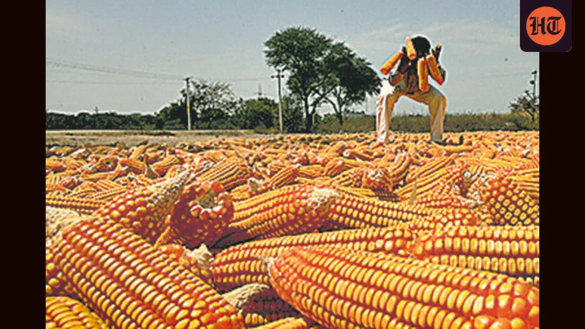 US pitches maize for India’s E85, SAF ethanol push