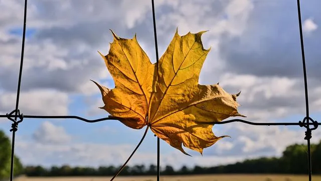 Wetter: Wann es am Wochenende trocken bleibt