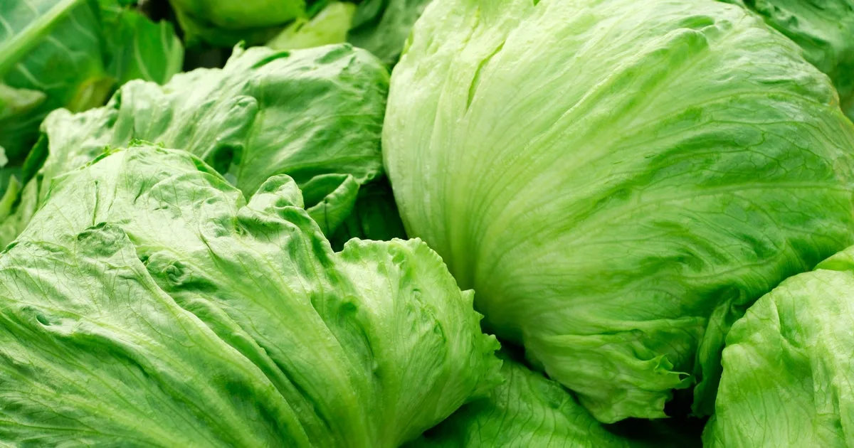 Record-setting cyclospora outbreak is over, U.S. health officials say