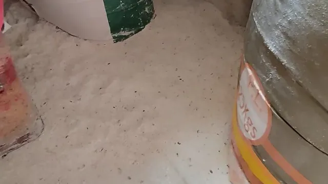 Veja. Comida "imprópria" e álcool artesanal em estabelecimentos de Sintra