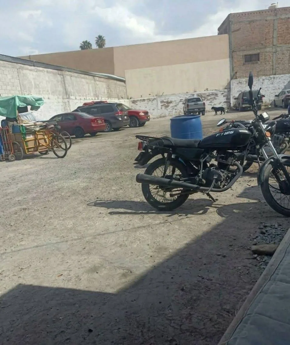 Reactivan movilización por presunta pantera tras nuevo reporte en Torreón