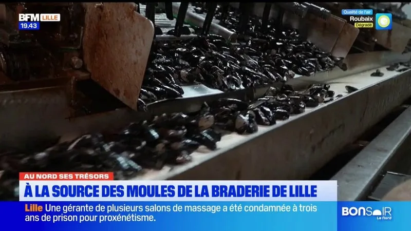 Au Nord ses Trésors - À la source des moules de la braderie de Lille