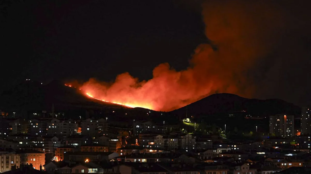 Waldbrand vor Millionenmetropole - Flammen bedrohen Ankara