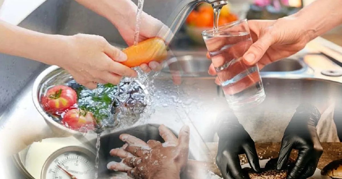 Síndrome Urémico Hemolítico: Más que el mal de la carne cruda