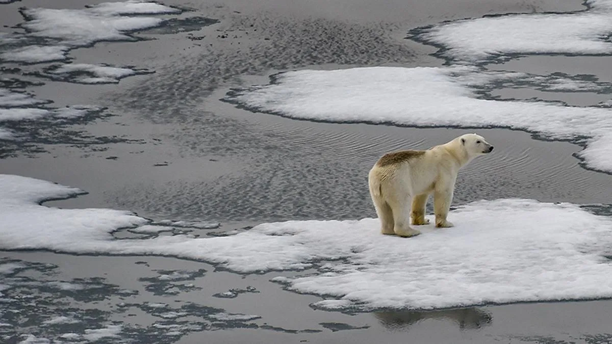 World’s top climate body deadlocked over inclusivity concerns