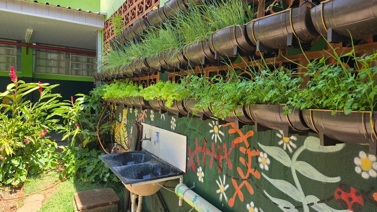 Água que escorria no corredor vira horta e projeto científico em escolas de MS