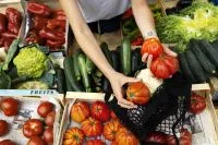 PLOA 2027 prevê aumento de R$ 2,9 bilhões para Proagro e subvenções