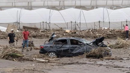 La tempête Rachel a fait huit morts au Mexique, annonce le gouvernement