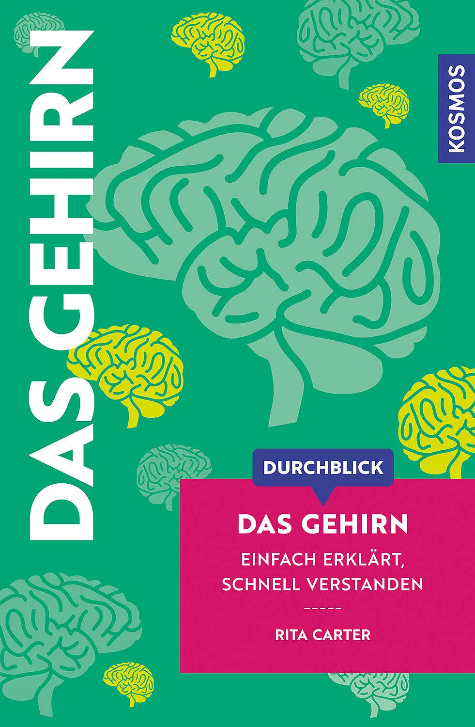 50 Fragen an das Gehirn