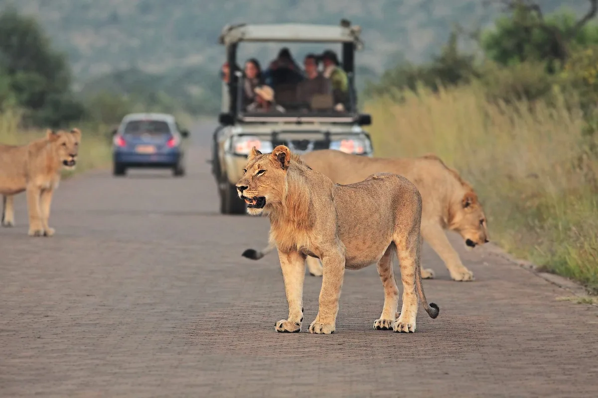 This is when you can access SANParks national parks for free