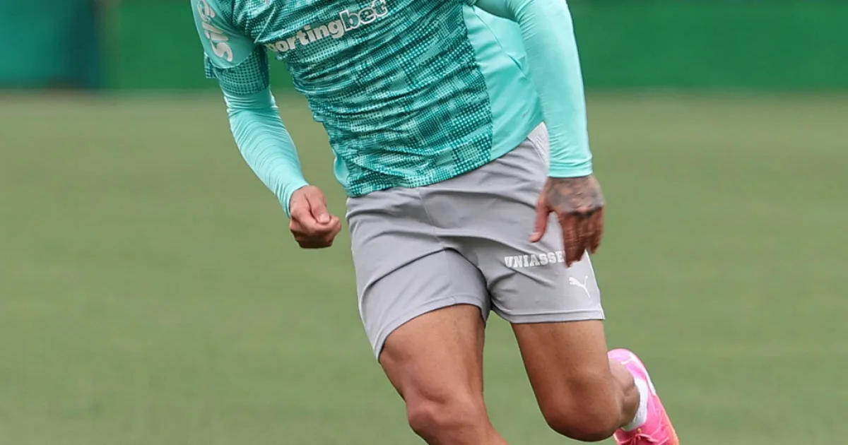 A declaração de Gustavo Gómez direcionada a Fluminense x Palmeiras