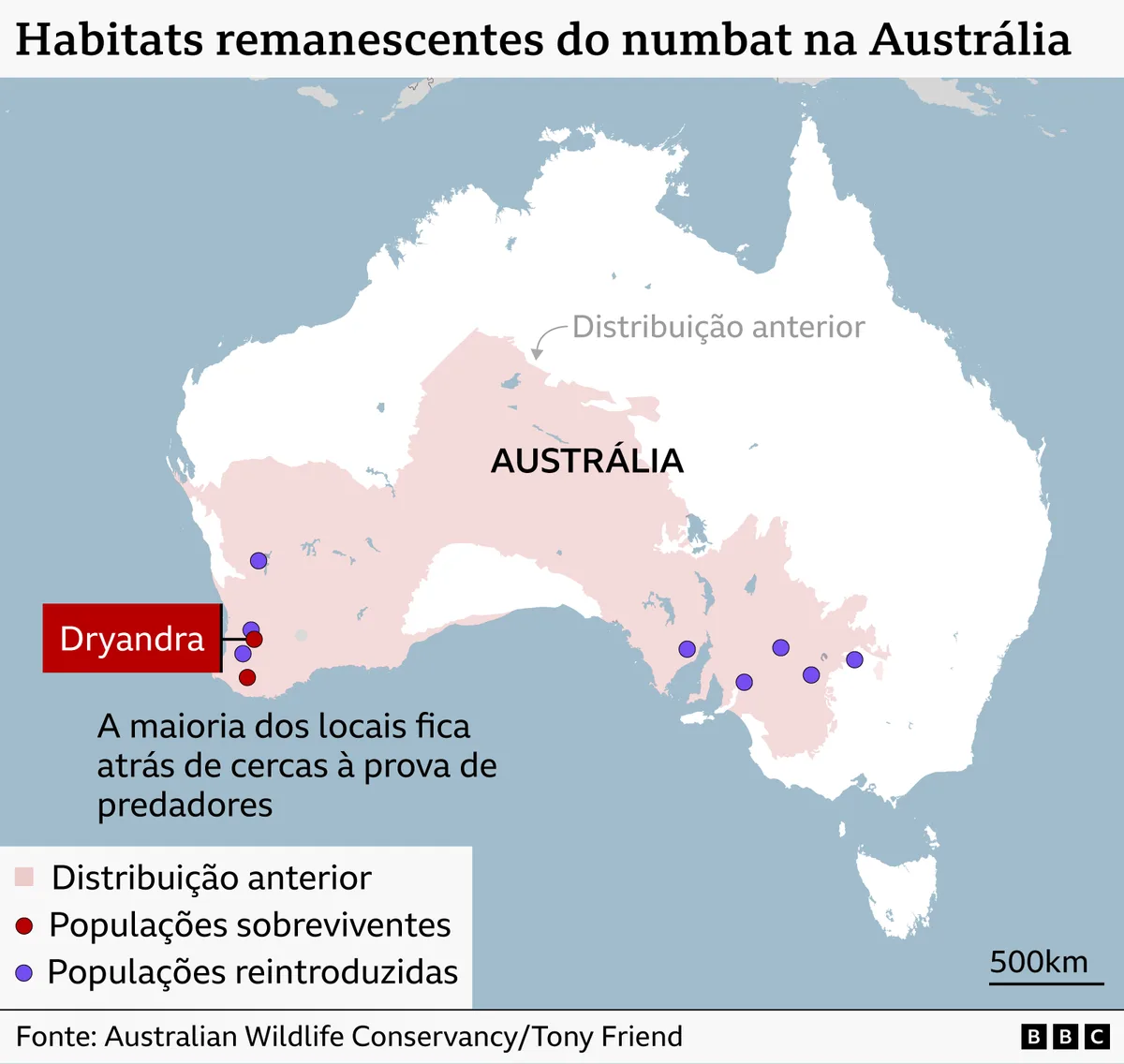 Como a Austrália, conhecida por sua fauna exuberante, tornou-se o epicentro das extinções no planeta