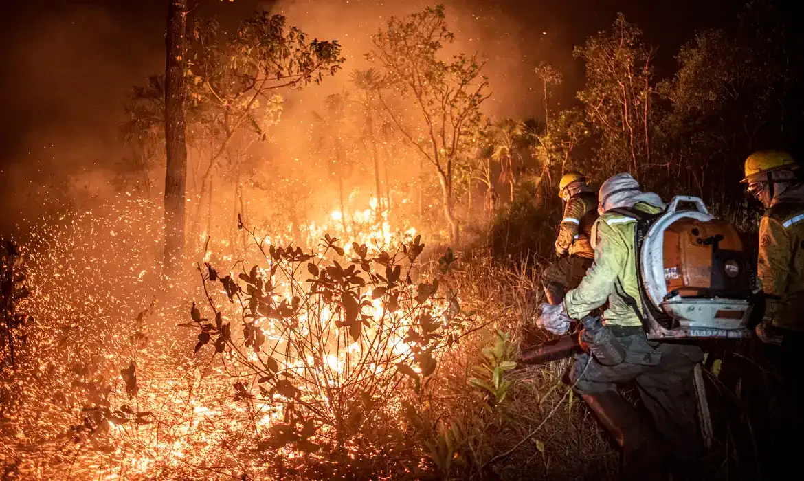 Ibama extingue 229 incêndios no Amazonas e segue no combate ao fogo