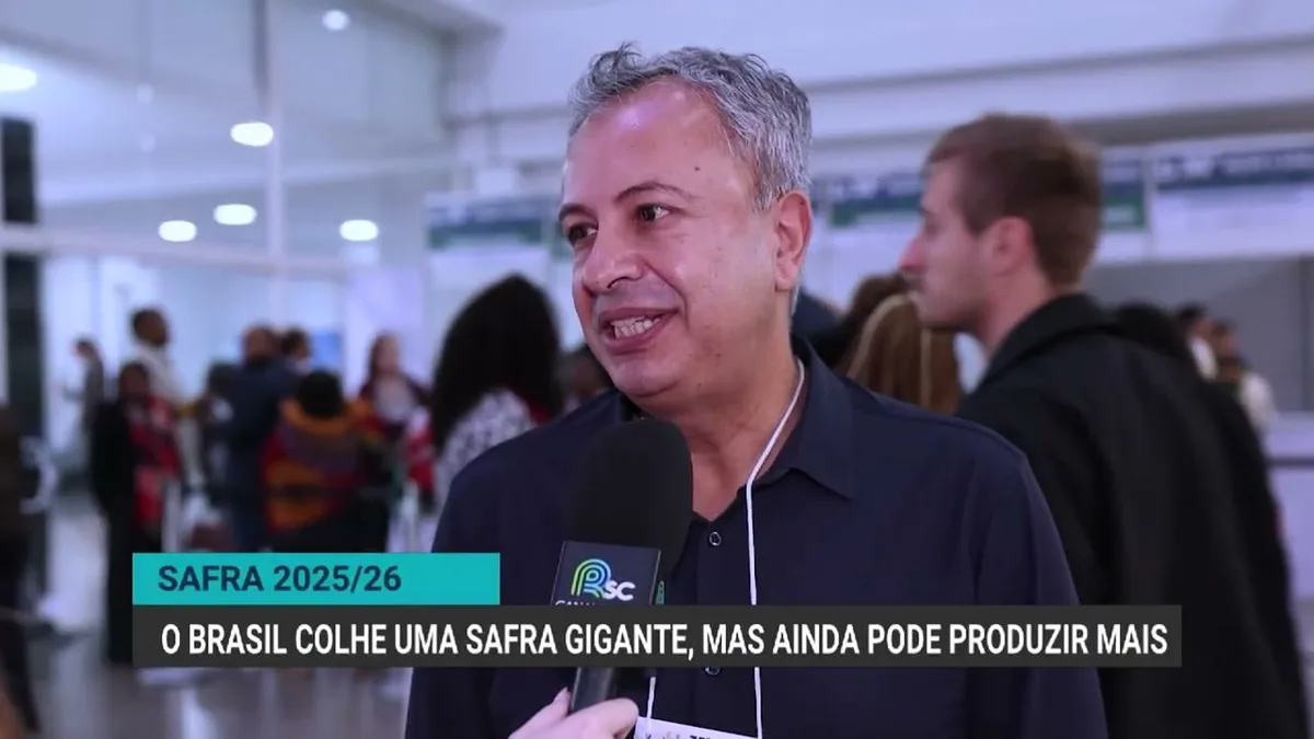 Brasil deve colher 143 milhões de toneladas de milho na safra 2526