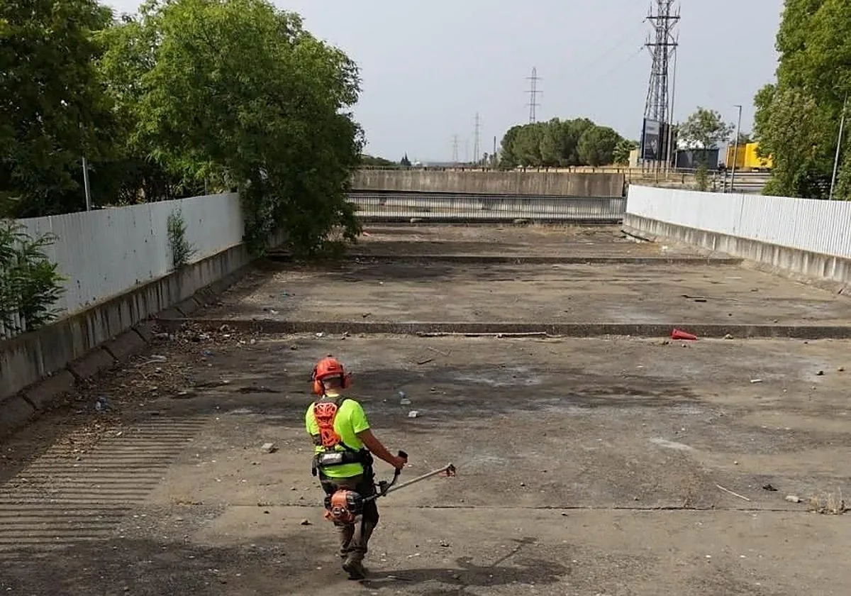El Ayuntamiento retira 7,5 toneladas de residuos en el Canal de la Ranilla de Sevilla