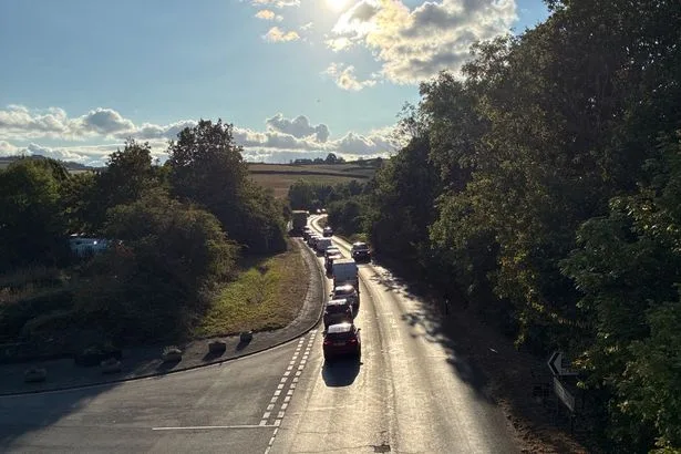 Girl, 11, suffers life-changing injuries in Devon crash and airlifted to hospital