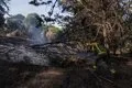 El incendio en Aldea del Fresno se encuentra estabilizado con un balance de 330 hectáreas afectadas