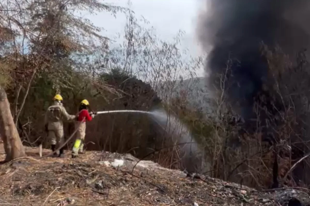 Incêndio destrói vegetação na Zona Leste de Manaus
