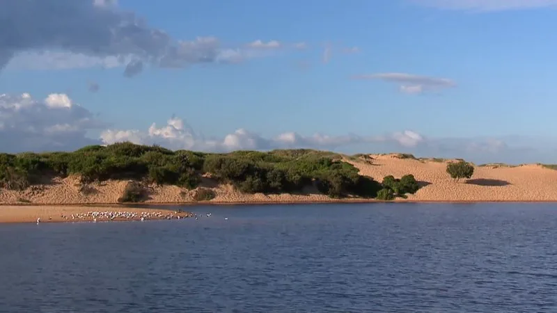 Women targeted in sexual assaults on Sydney walking trail