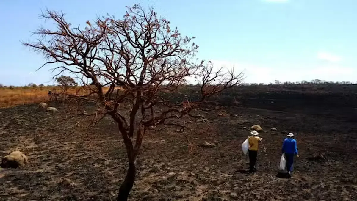 Governo Federal se reúne para mitigar impactos do El Niño no Nordeste