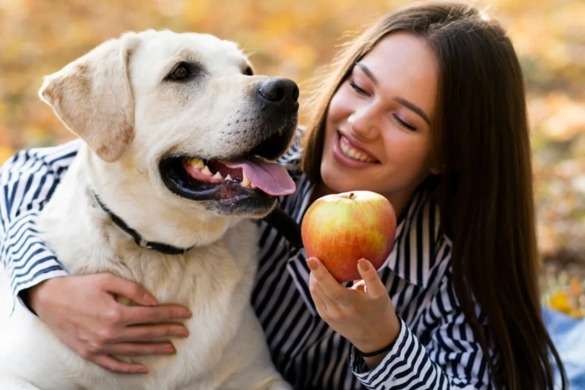 María, veterinaria: “Estas son las cinco frutas que sí podés darle a tu perro”