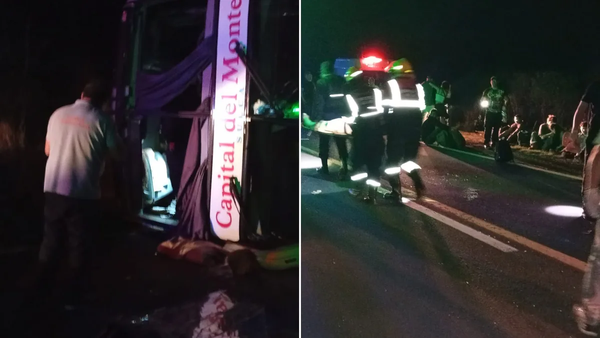 Volcó un colectivo en Corrientes: murió una mujer y 14 personas resultaron heridas