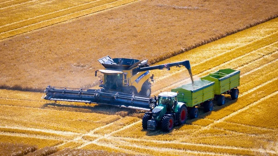 Landwirtschaft: Dürre schrumpft die Ernte - Bauern unter Druck