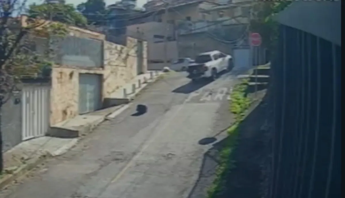 Mala com roupas e joias avaliadas em R$ 30 mil cai de caminhonete e é levada por homem em BH