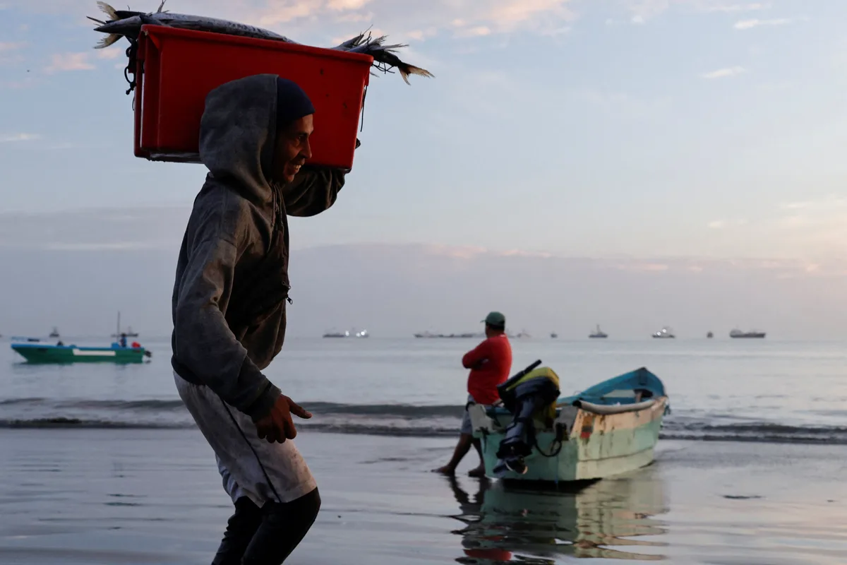 El fenómeno de El Niño complica la pesca en Ecuador: las especies se alejan de la costa y un crustáceo inutiliza las redes