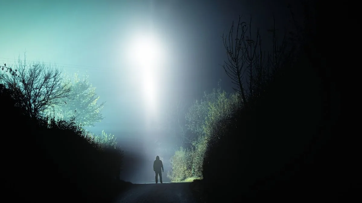 'We Want to Believe' book explores the reality of UFOs: 'It's always going to be more likely that someone is wrong about what they saw' (interview)