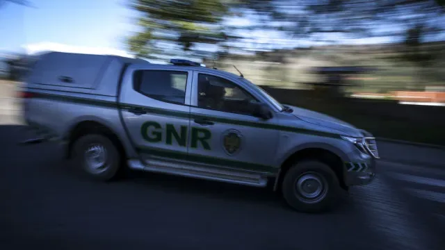 Homem detido por condução perigosa e desobediência na EN4 em Alcochete