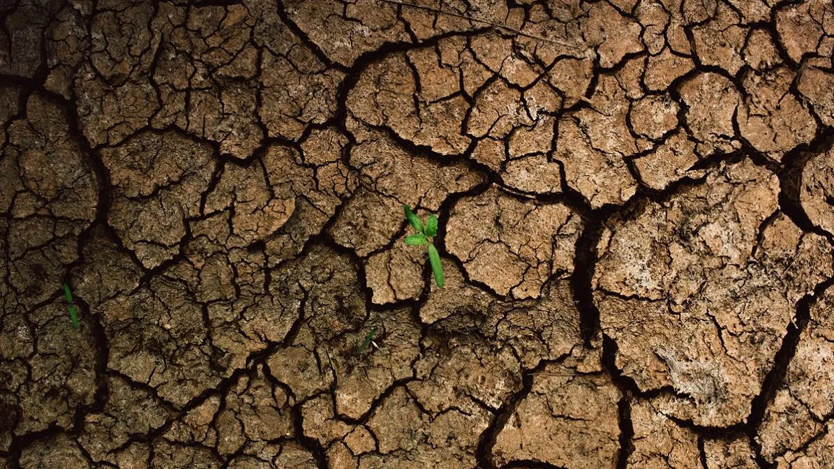 Bruxelas quer reforçar resposta global às secas na COP da desertificação