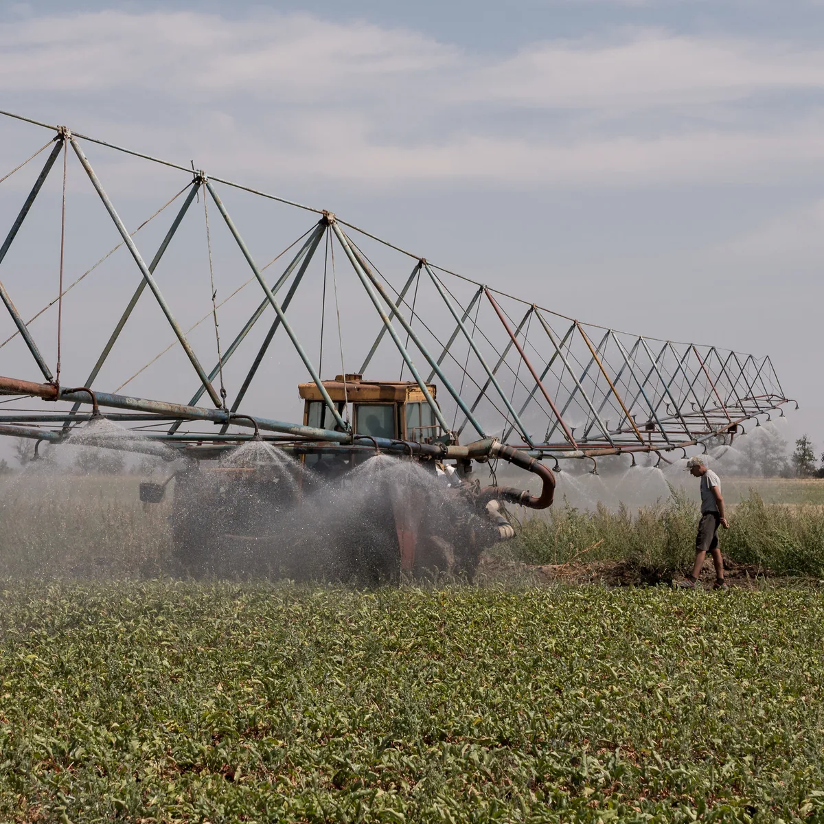 Attacks in Black Sea Threaten to Strangle Global Grain Supply