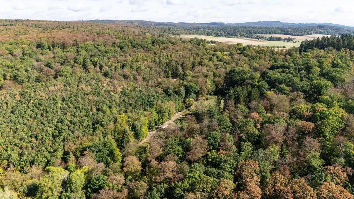 Warm aber regnerisch: Bis zu 30 Grad warm aber immer wieder Regen in Hessen