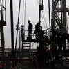 Valor das importações de petróleo dispara 55,8% no 2.º trimestre na União Europeia