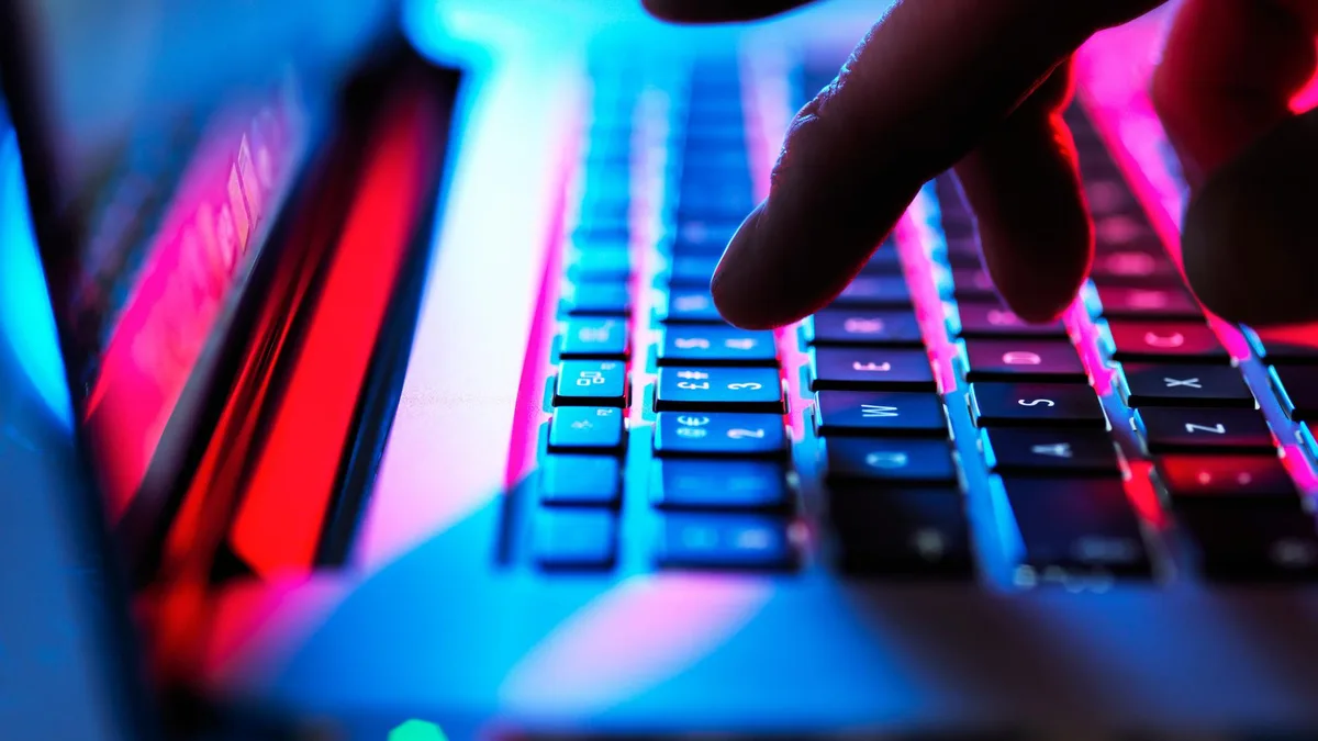 Face à l’essor des moteurs de recherche illégaux de données, un premier site « lookup » démantelé