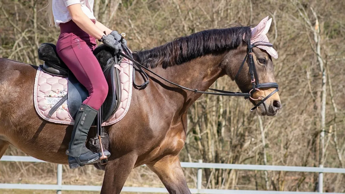 Une enquête ouverte après la mort d'une adolescente de 12 ans des suites d'une chute à cheval dans l'Aveyron