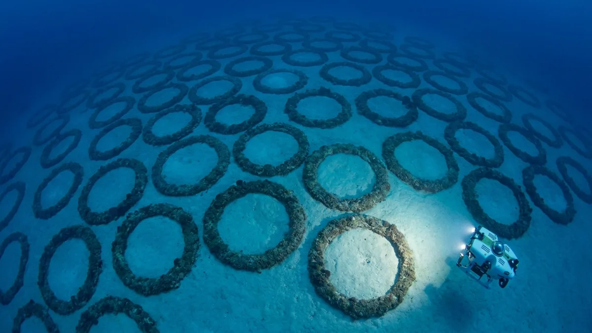 Aventureiros descem ao fundo do Mediterrâneo e encontram 1.400 círculos gigantes desenhados milimetricamente na areia