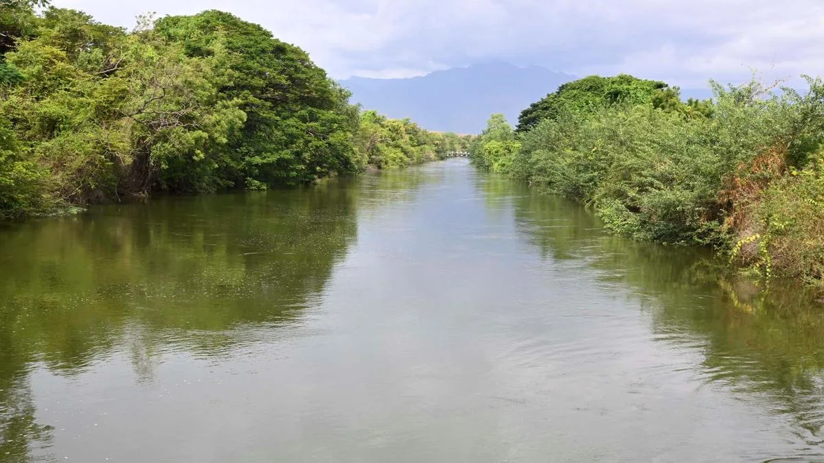 Farmers’ movement alleges irregularities in Lower Bhavani water distribution