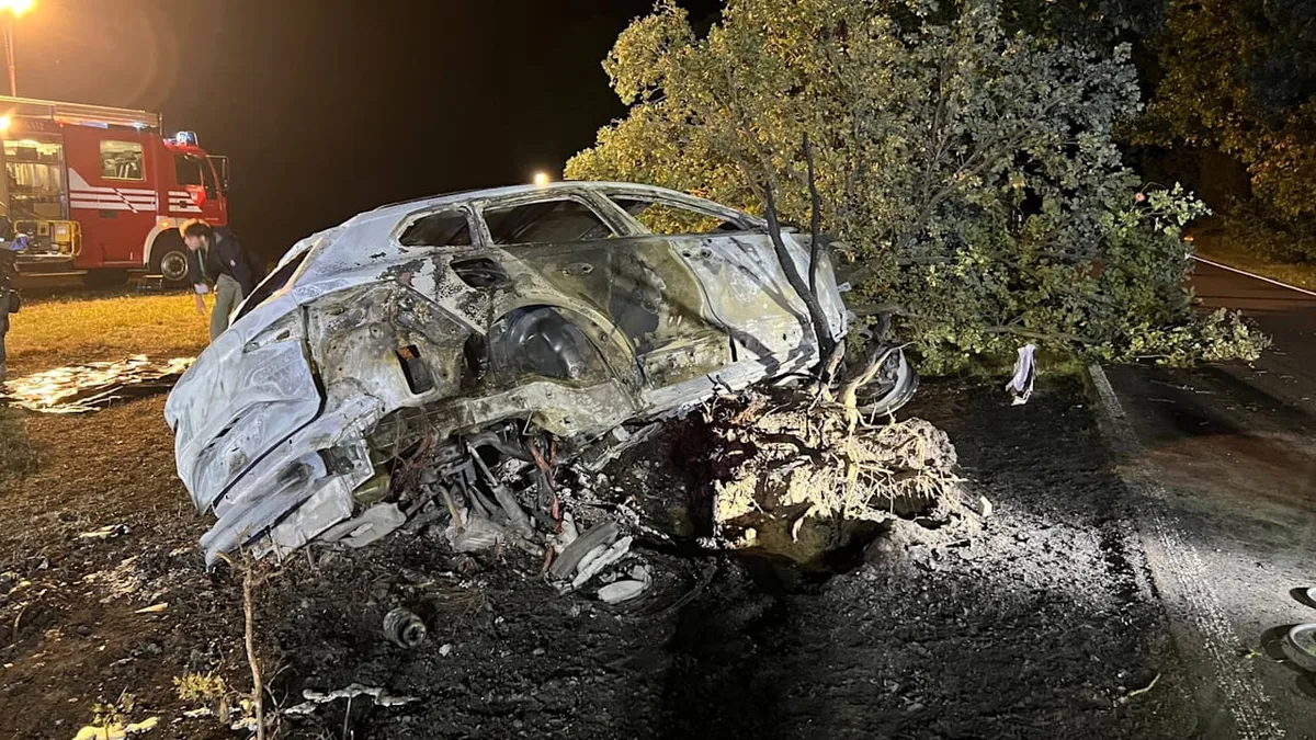 Wagen krachte gegen Baum und fing Feuer - Zwei Tote! E-Auto wird zur Feuerfalle