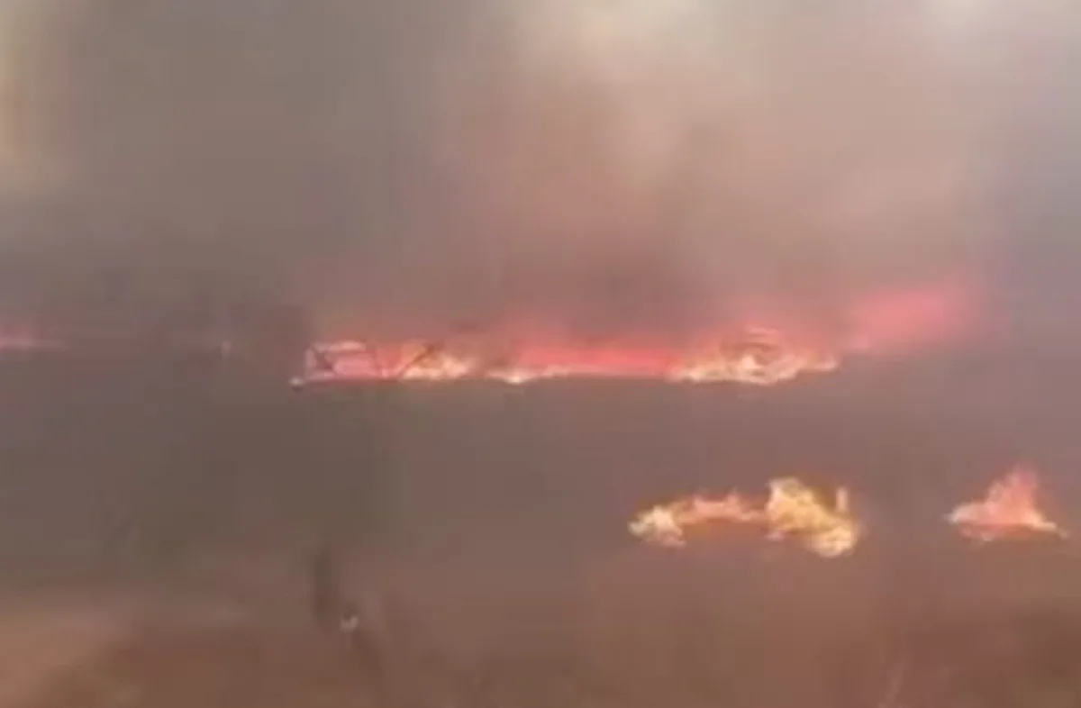 Incêndio atinge áreas de mata no Sertão da PB e já consumiu quase 600 hectares de vegetação