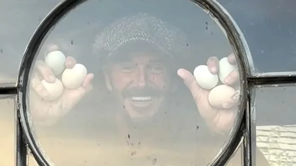 Fußball-Legende als Super-Farmer - Hier zeigt David Beckham seine Eier