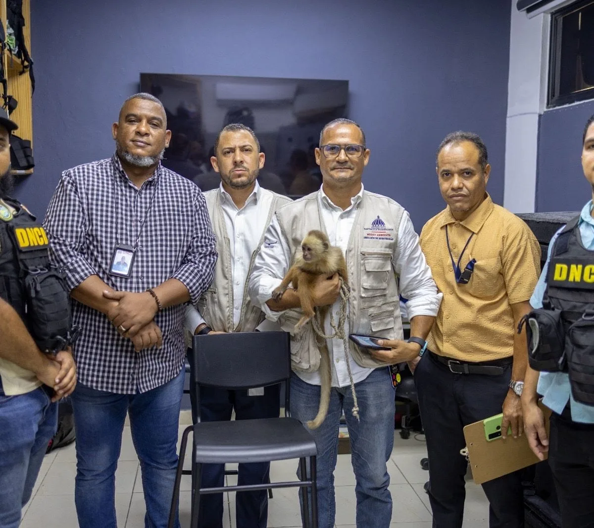 El mono narco hallado en una lancha con presunta cocaína será evaluado en el Zoológico Nacional de República Dominicana