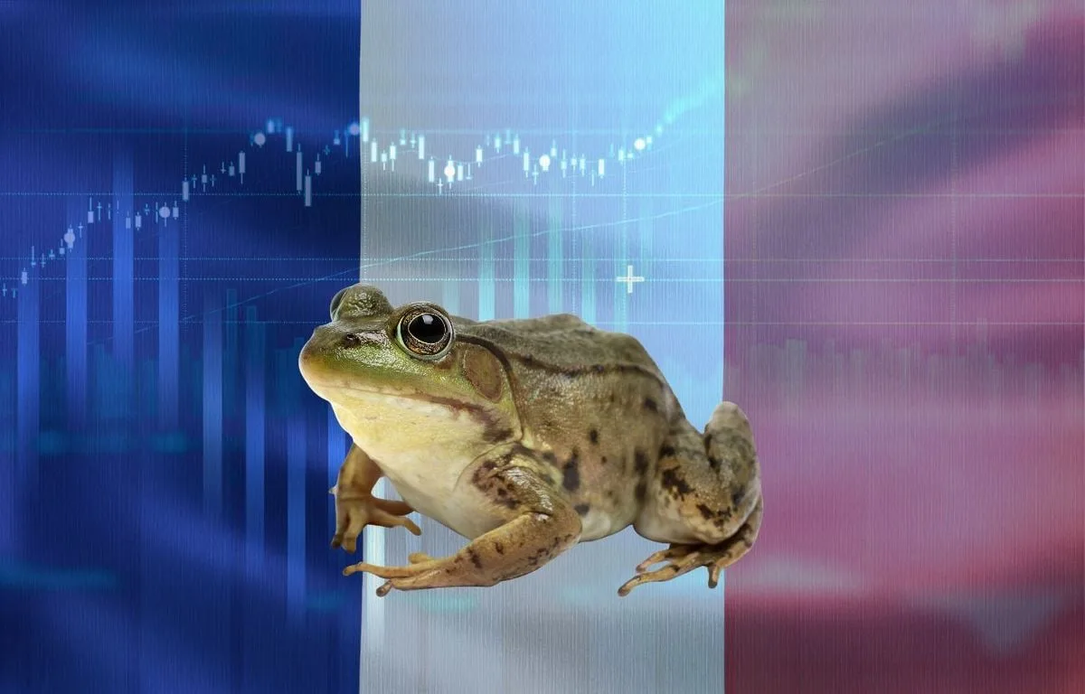 Dette : « Frogs », le nouvel acronyme injurieux des marchés financiers pour parler de la France