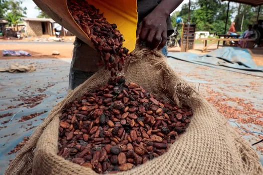 Chocolate could get pricier as EU scrutinises West African cocoa