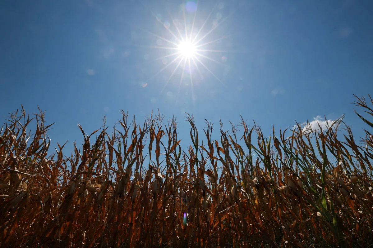 El Salvador refuerza apoyo a emprendedoras ante desafíos del cambio climático